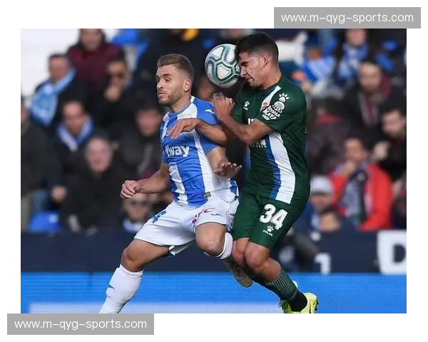 纳杰马体育深陷降级区难以自拔 落后保级区八分保级形势岌岌可危